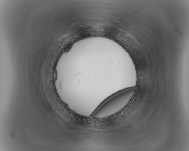 X0000112921057200909141308