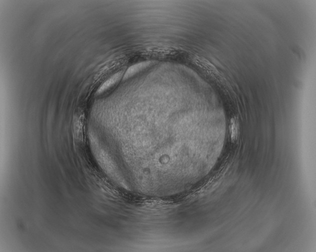 X0000112921059200909141308