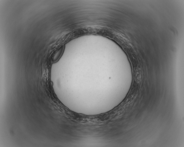 X0000112921061200909141308