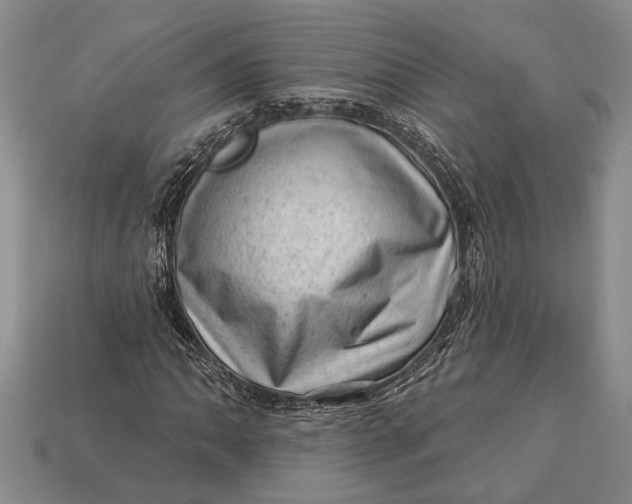 X0000112921062200909141308