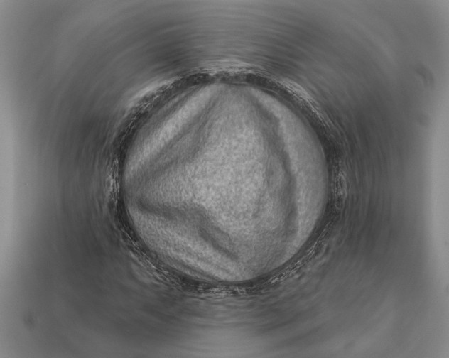 X0000112921063200909141308
