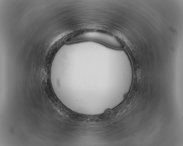 X0000112921064200909141308