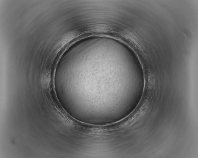 X0000112921065200909141308