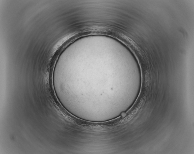 X0000112921066200909141308