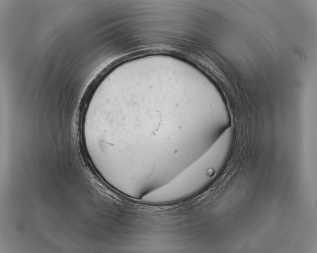 X0000112921068200909141308