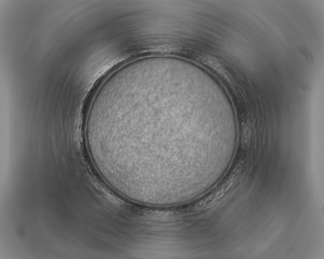 X0000112921071200909141308