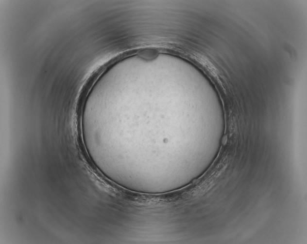 X0000112921072200909141308