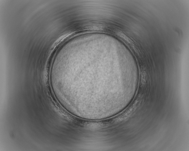 X0000112921074200909141308
