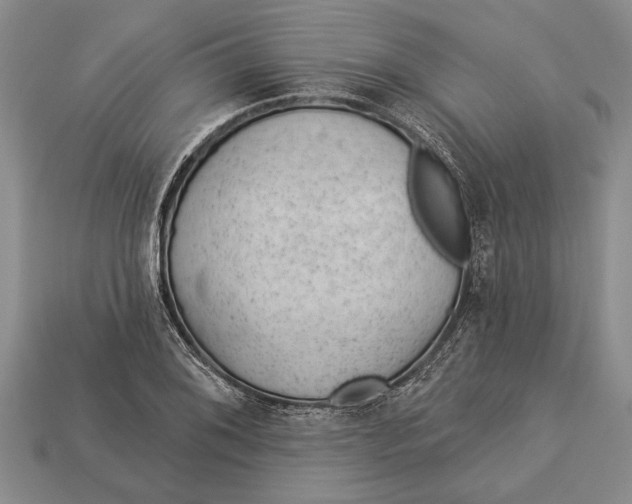 X0000112921076200909141308