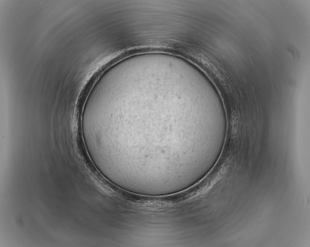 X0000112921077200909141308