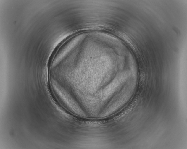 X0000112921079200909141308