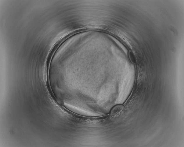 X0000112921080200909141308