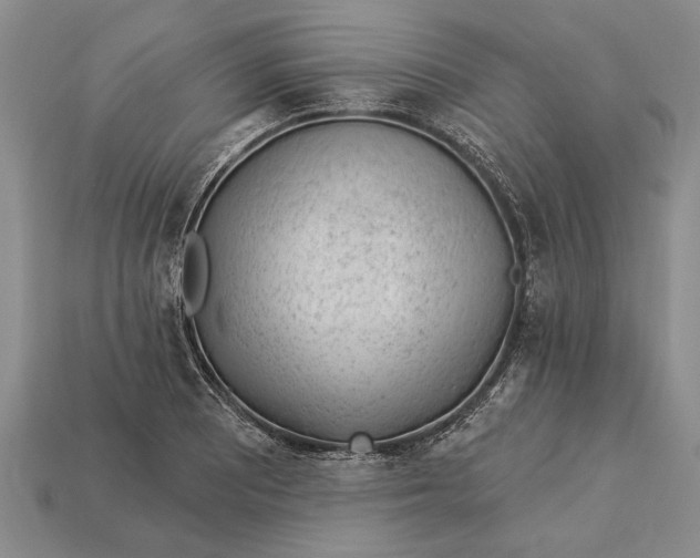 X0000112921081200909141308