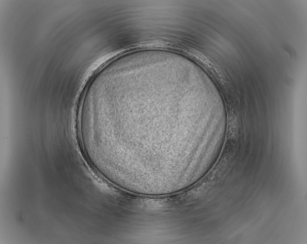 X0000112921086200909141308