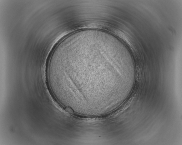 X0000112921087200909141308