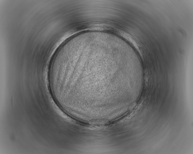 X0000112921091200909141308