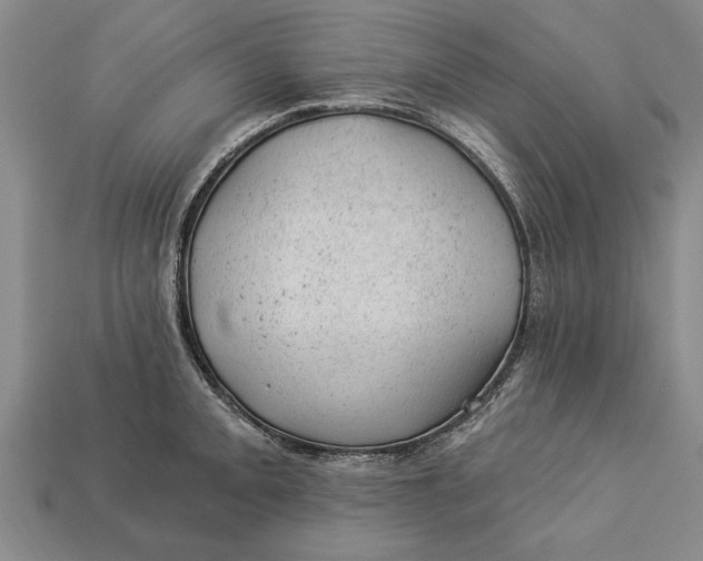 X0000112921093200909141308