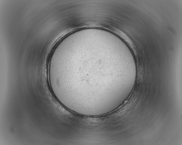 X0000112921096200909141308