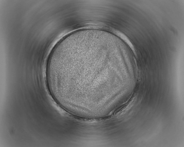 X0000112921099200909141308