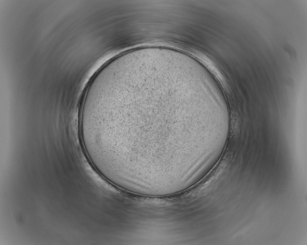 X0000112921100200909141308