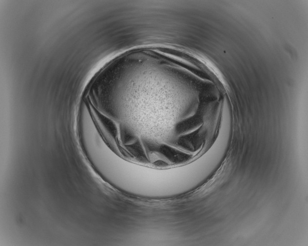 X0000112921101200909141308