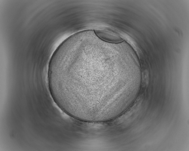 X0000112921103200909141307