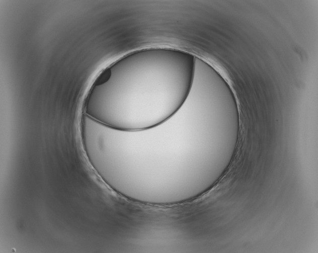 X0000112921104200909141307