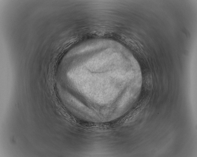 X0000112921105200909141307
