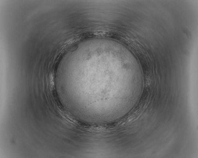 X0000112921106200909141307