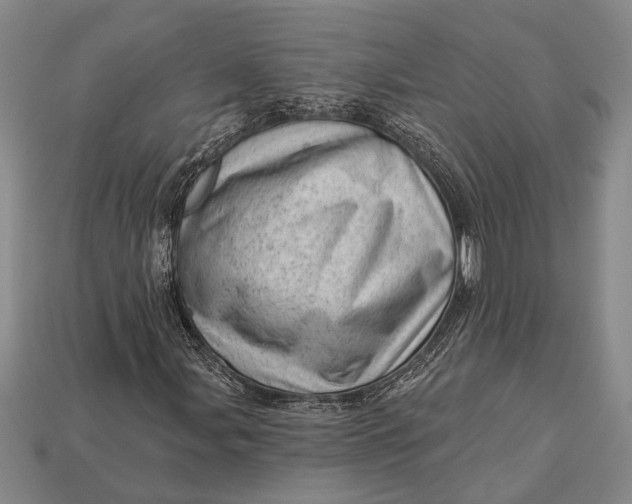 X0000112921107200909141307