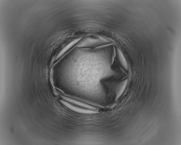 X0000112921108200909141307