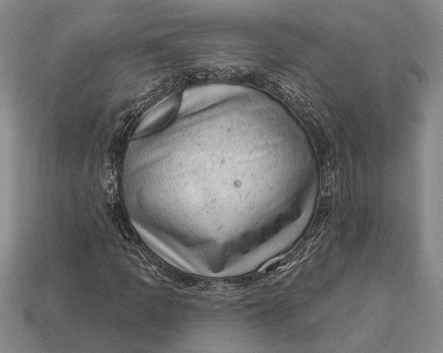 X0000112921109200909141307