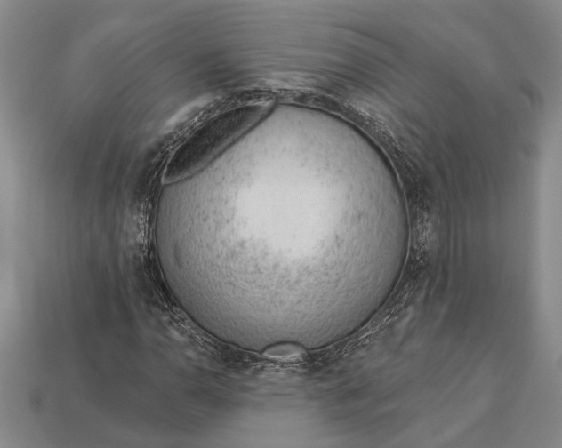 X0000112921110200909141307
