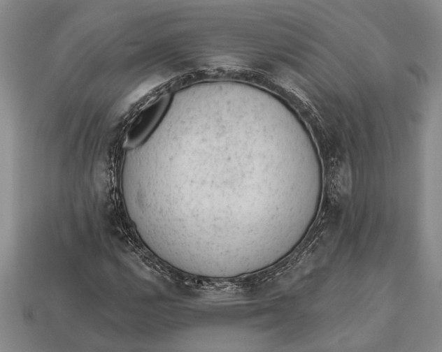 X0000112921112200909141307