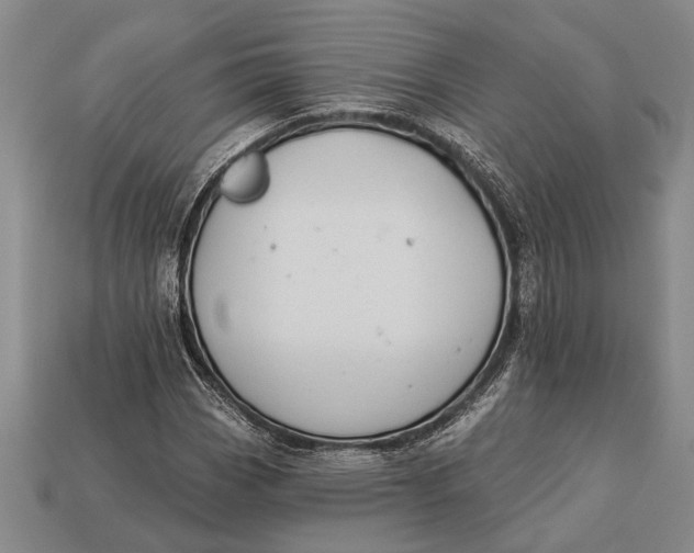 X0000112921113200909141307