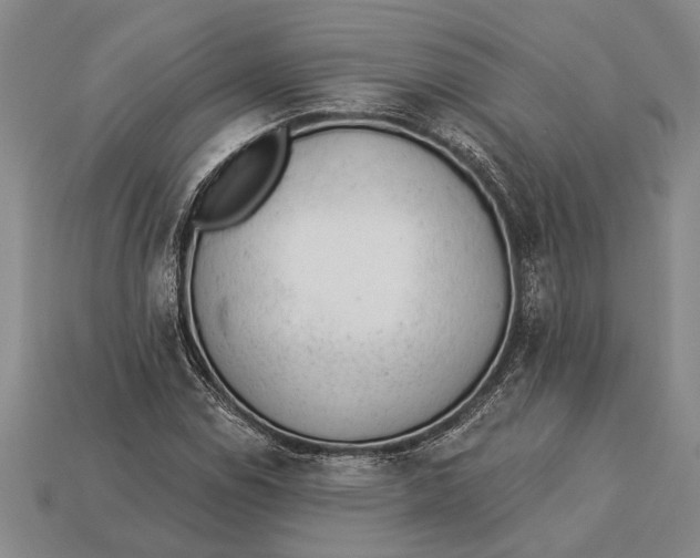 X0000112921114200909141307