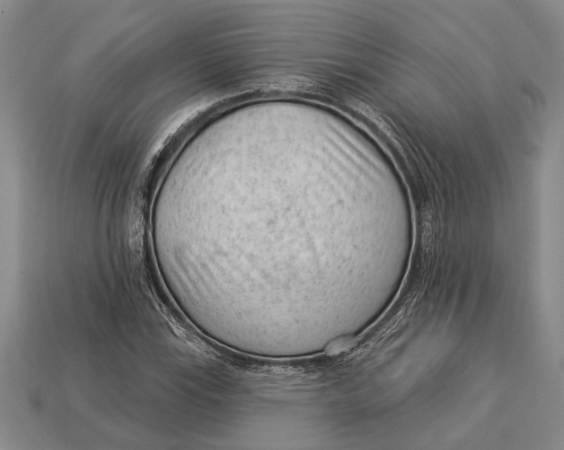 X0000112921115200909141307