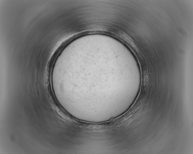 X0000112921116200909141307
