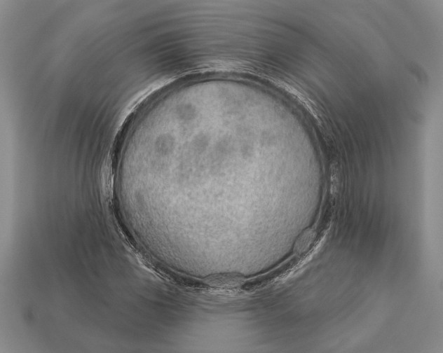 X0000112921117200909141307
