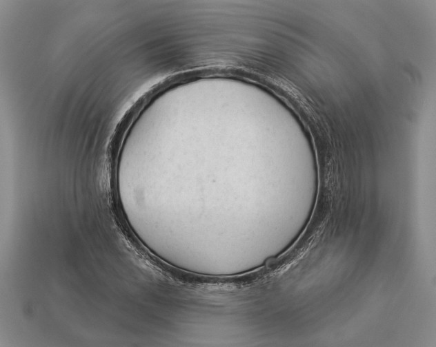 X0000112921118200909141307