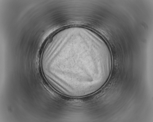 X0000112921119200909141307