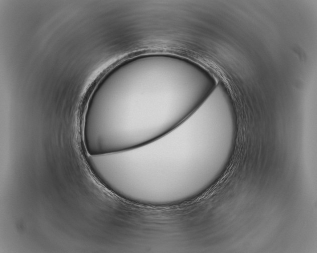 X0000112921120200909141307