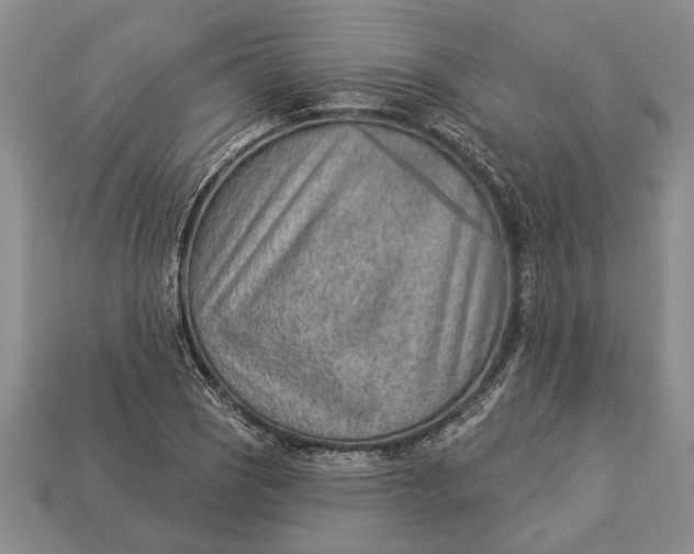 X0000112921121200909141307