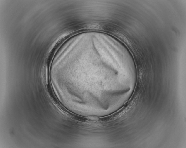 X0000112921123200909141307