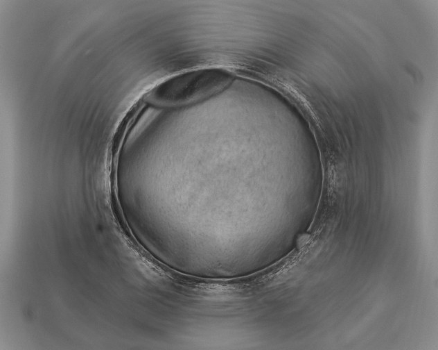 X0000112921124200909141307