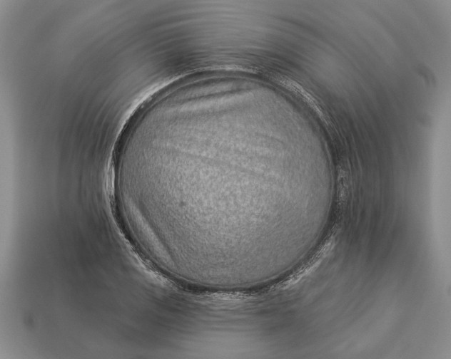 X0000112921125200909141307