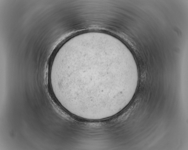 X0000112921126200909141307