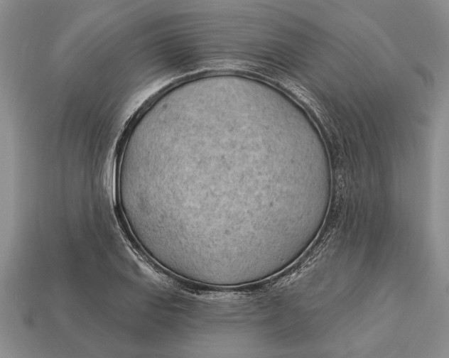 X0000112921127200909141307