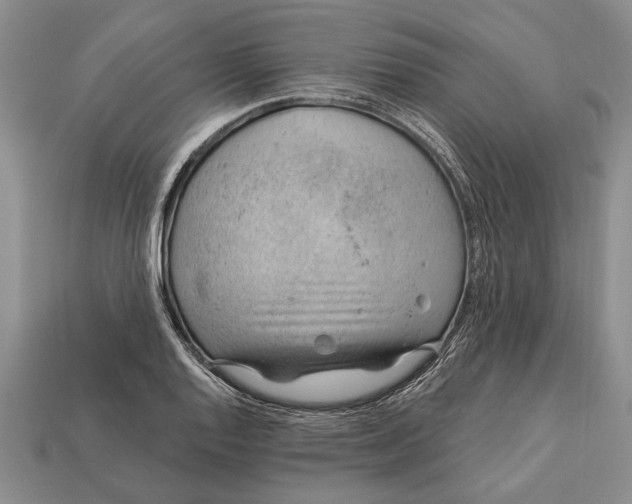 X0000112921128200909141307
