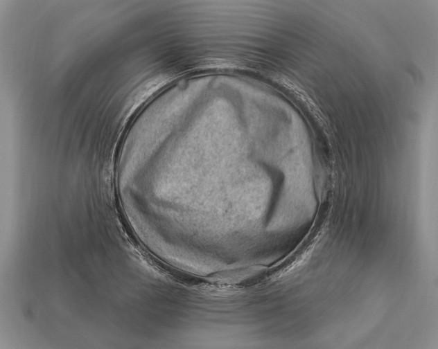 X0000112921129200909141307